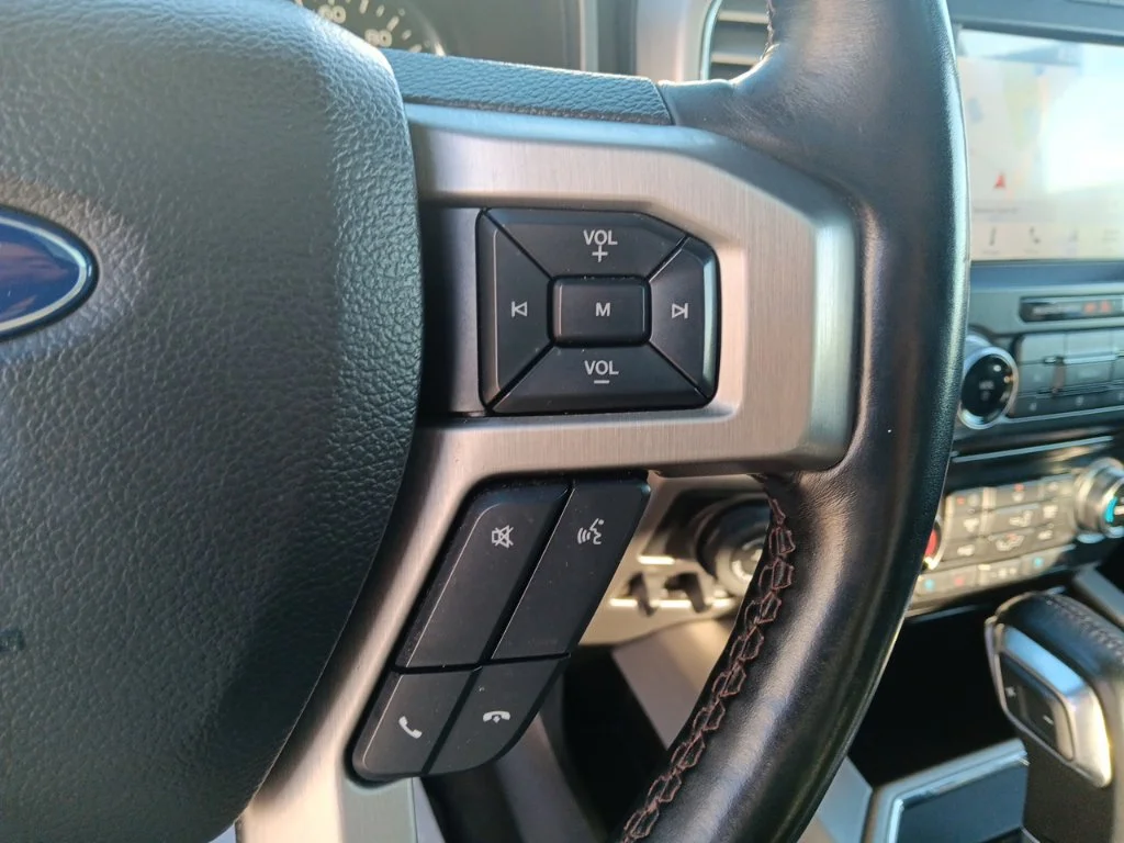 Used 2018 Magnetic Ford Platinum image 18