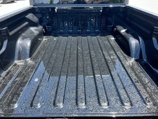 New 2026 Black Clear-Coat Exterior Paint Jeep Willys image 25