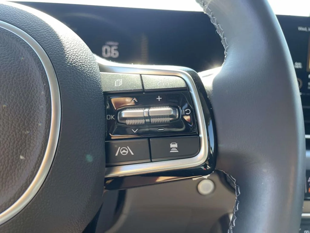 Used 2026 Panthera Metal Kia LXS image 15