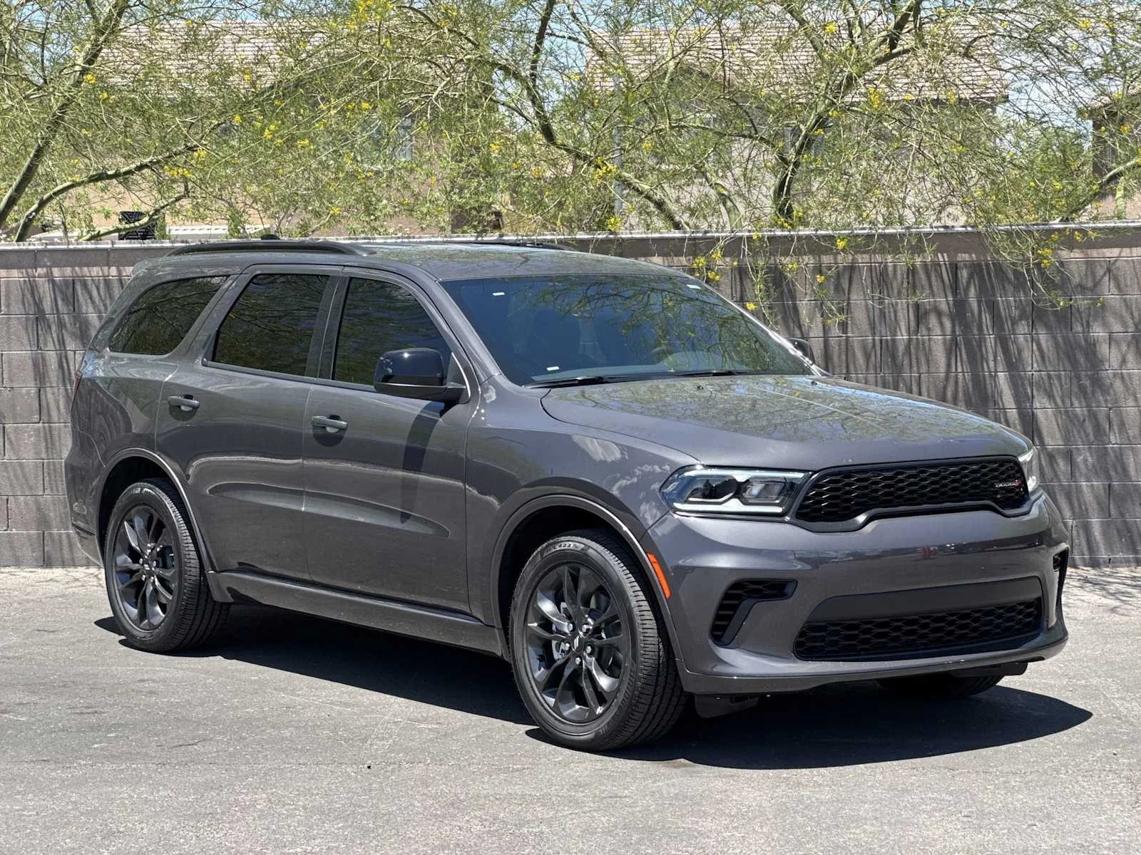 New 2026 Vapor Gray Exterior Paint Dodge GT image 2