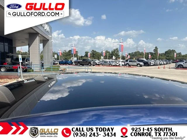 Used 2022 Blue Tesla Performance image 5