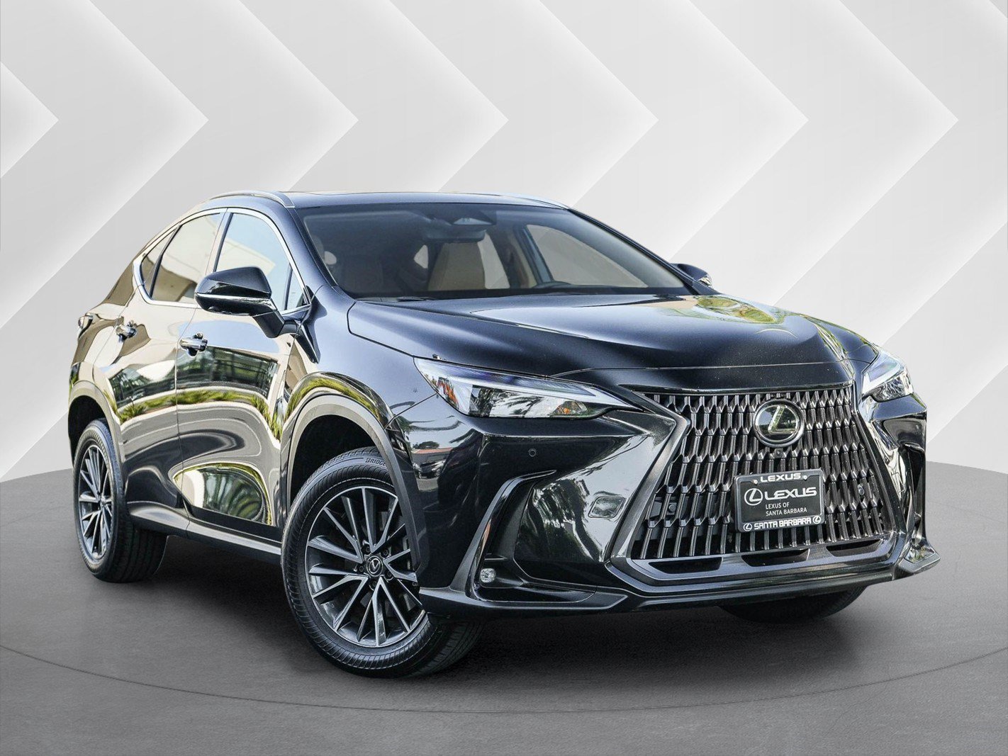 2024 Lexus NX