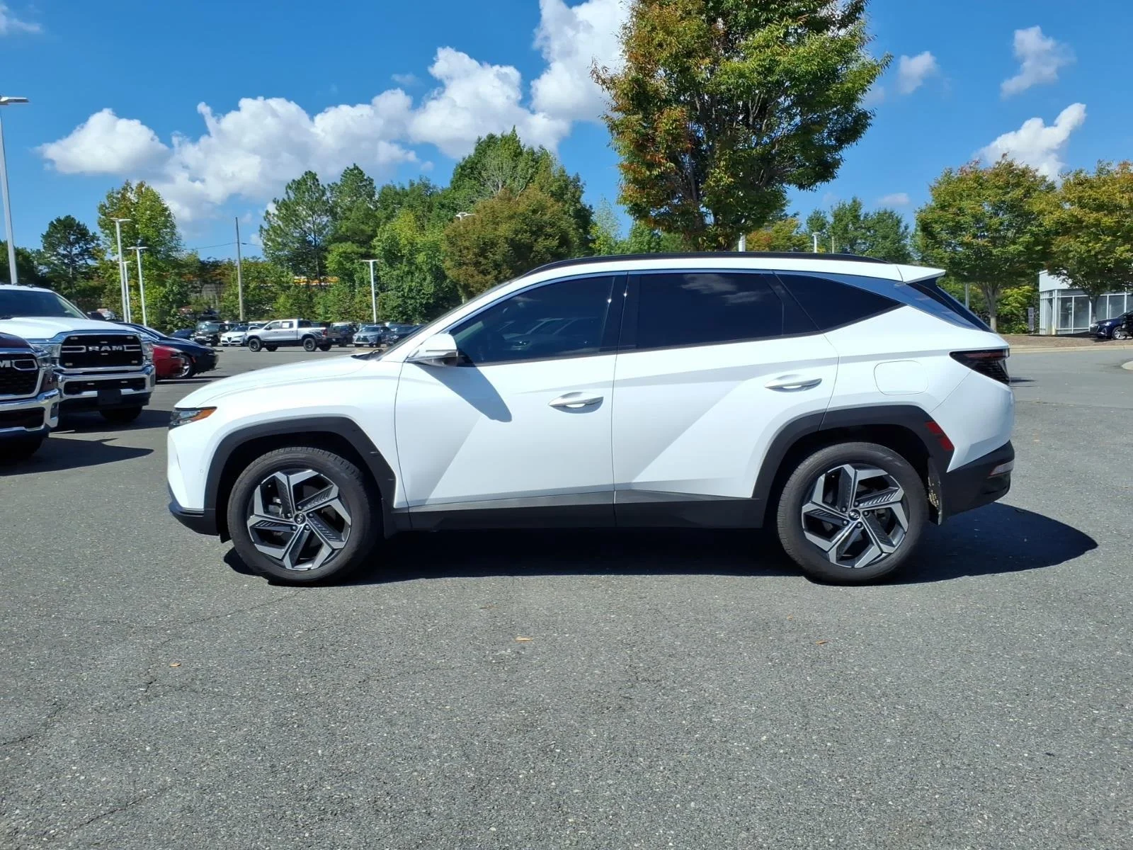 Used 2023 Serenity White Pearl Hyundai Limited image 9