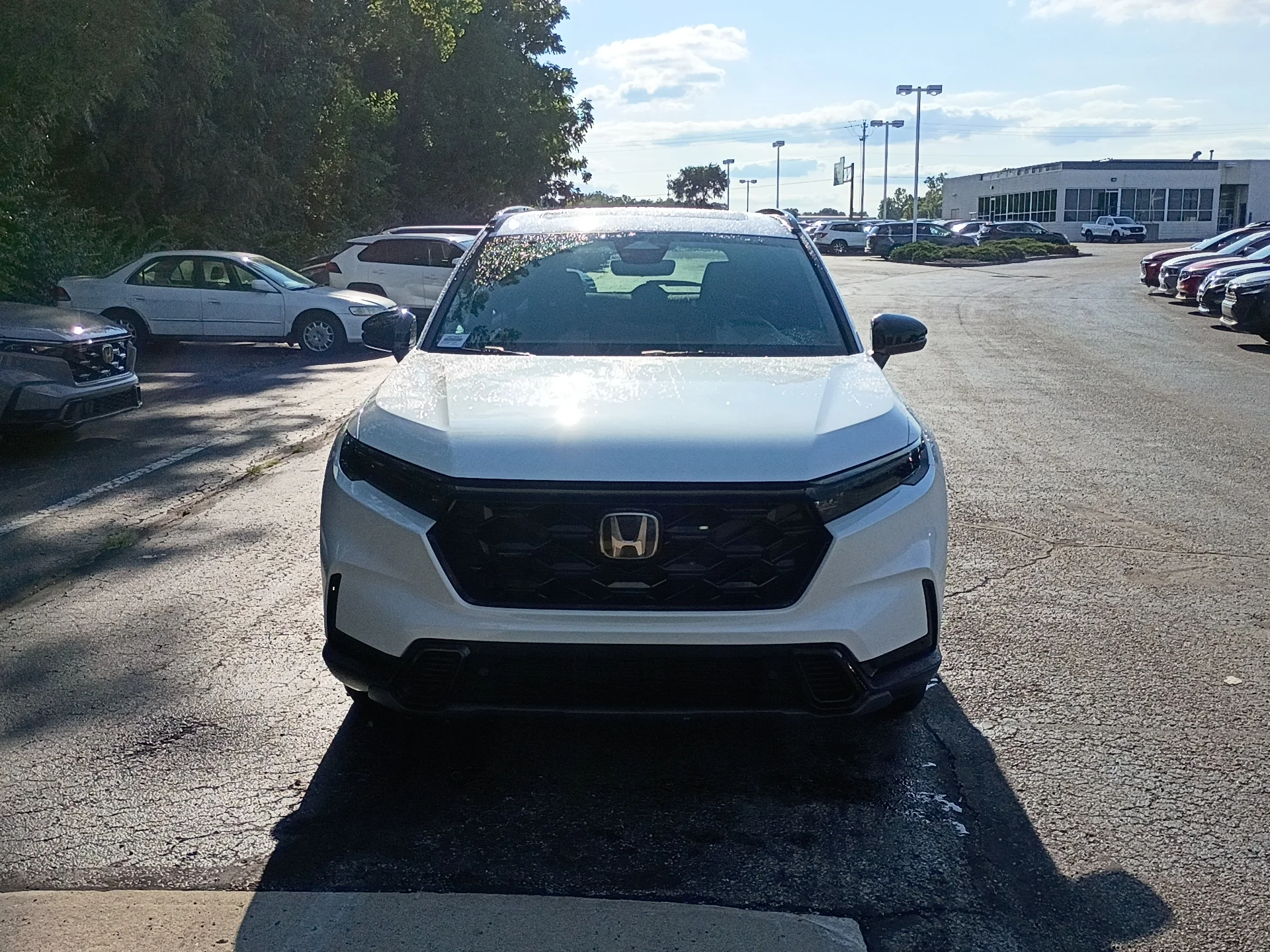 Certified Used 2026 Platinum White Pearl Honda Sport-L image 8