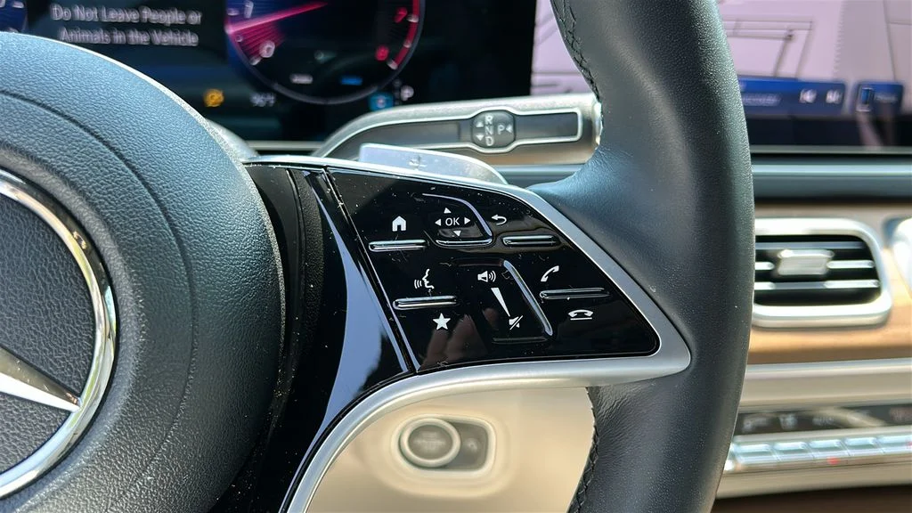 2025 Mercedes-Benz GLS Base - Photo 13
