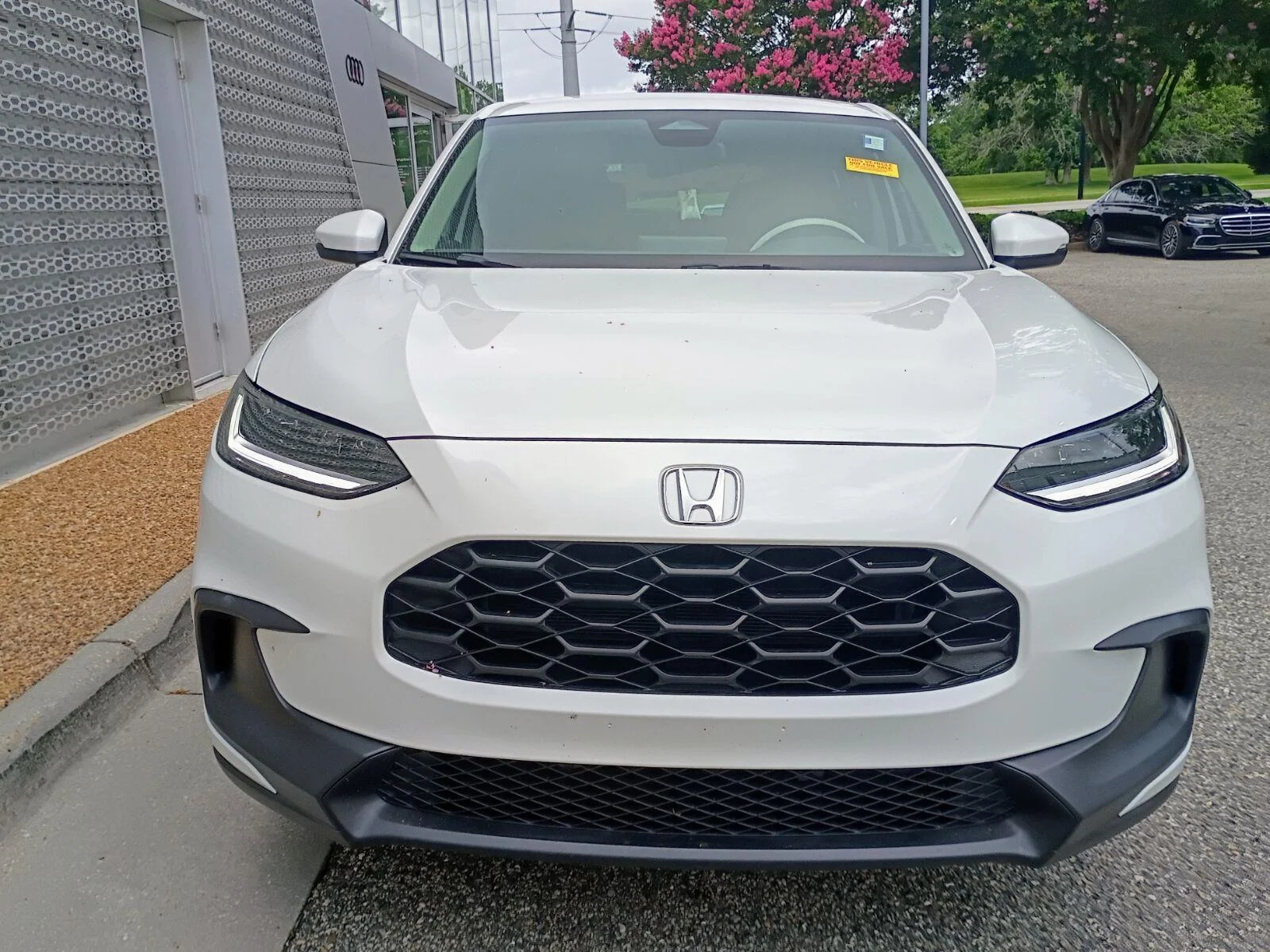Used 2023 Platinum White Pearl Honda LX image 2