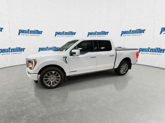 Used 2023 Star White Ford Limited image 5