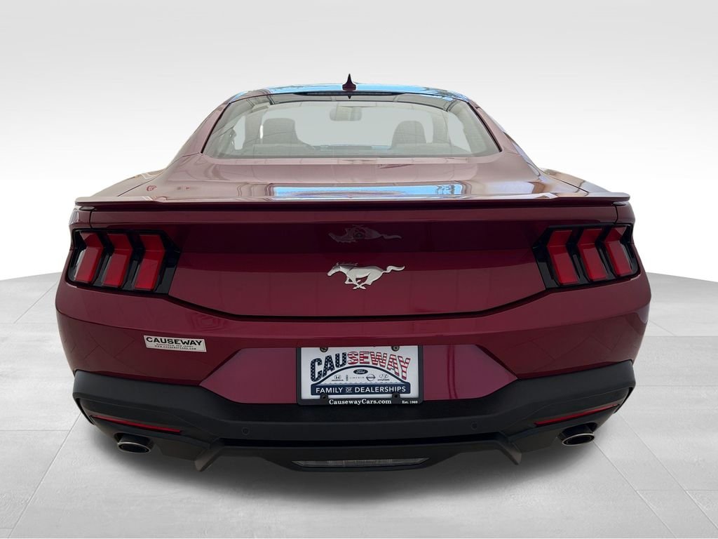 Used 2026 Magenta Ford EcoBoost Premium image 5