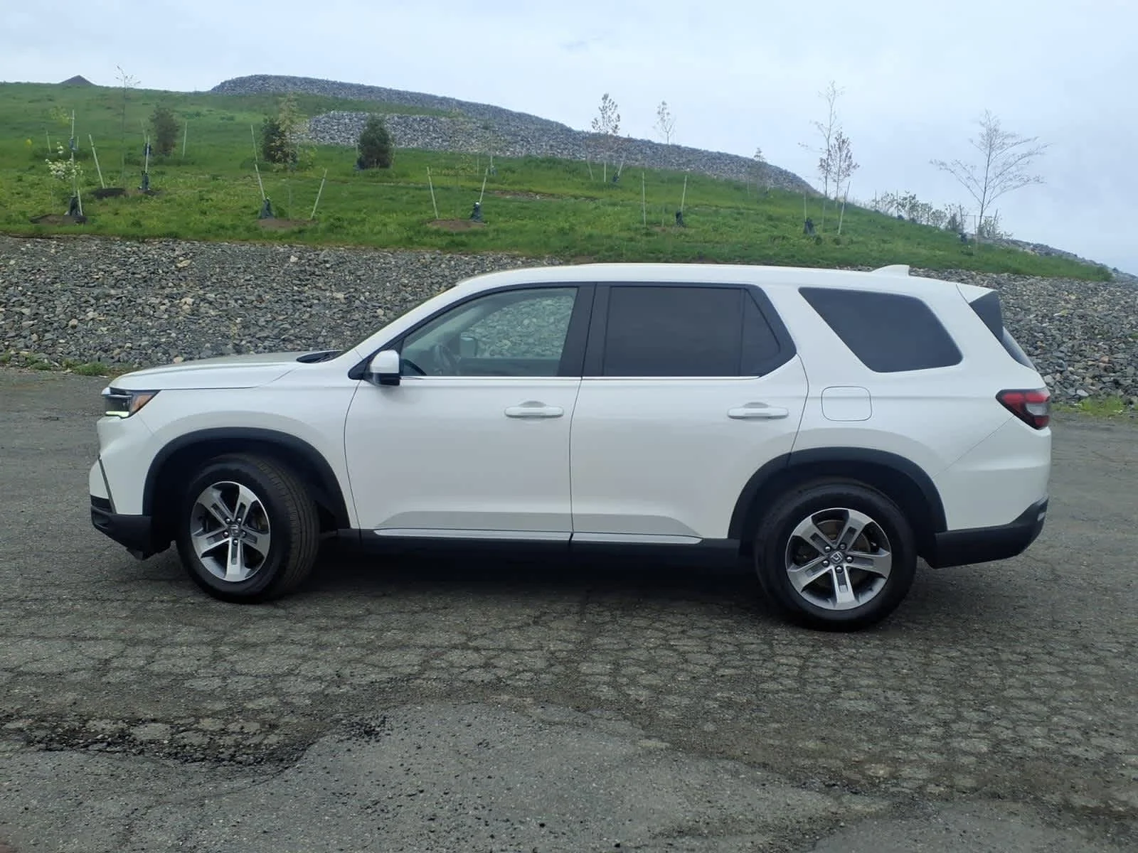 Certified Used 2025 Platinum White Pearl Honda EX-L image 8