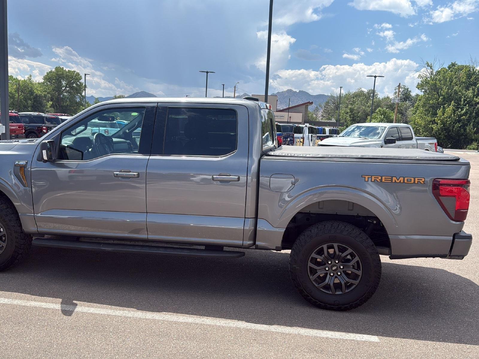 Used 2025 Carbonized Gray Ford Tremor image 8