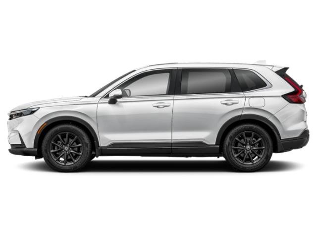 New 2027 Platinum White Pearl Honda EX-L image 3
