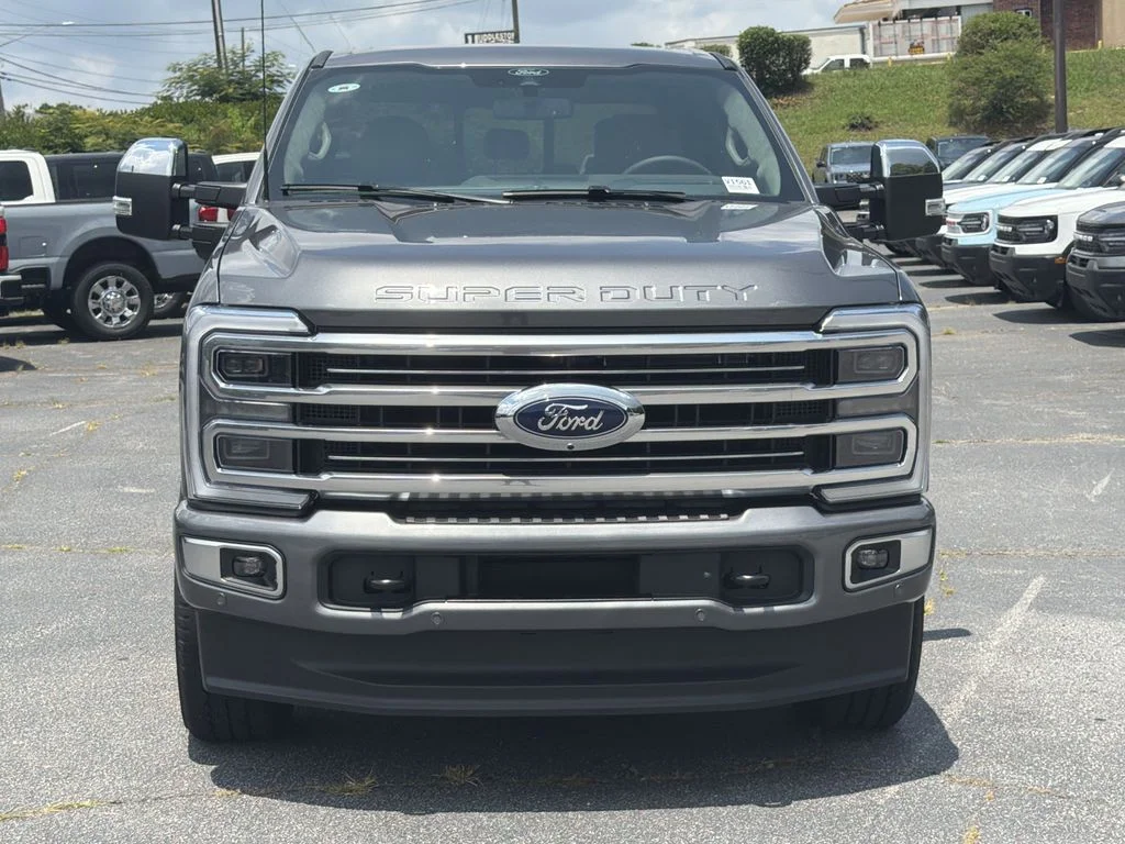 New 2026 Gray Ford Platinum image 2