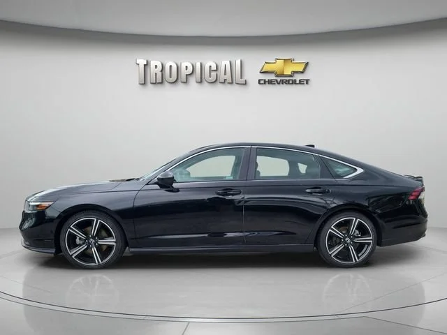 Used 2024 Black Honda Sport image 2
