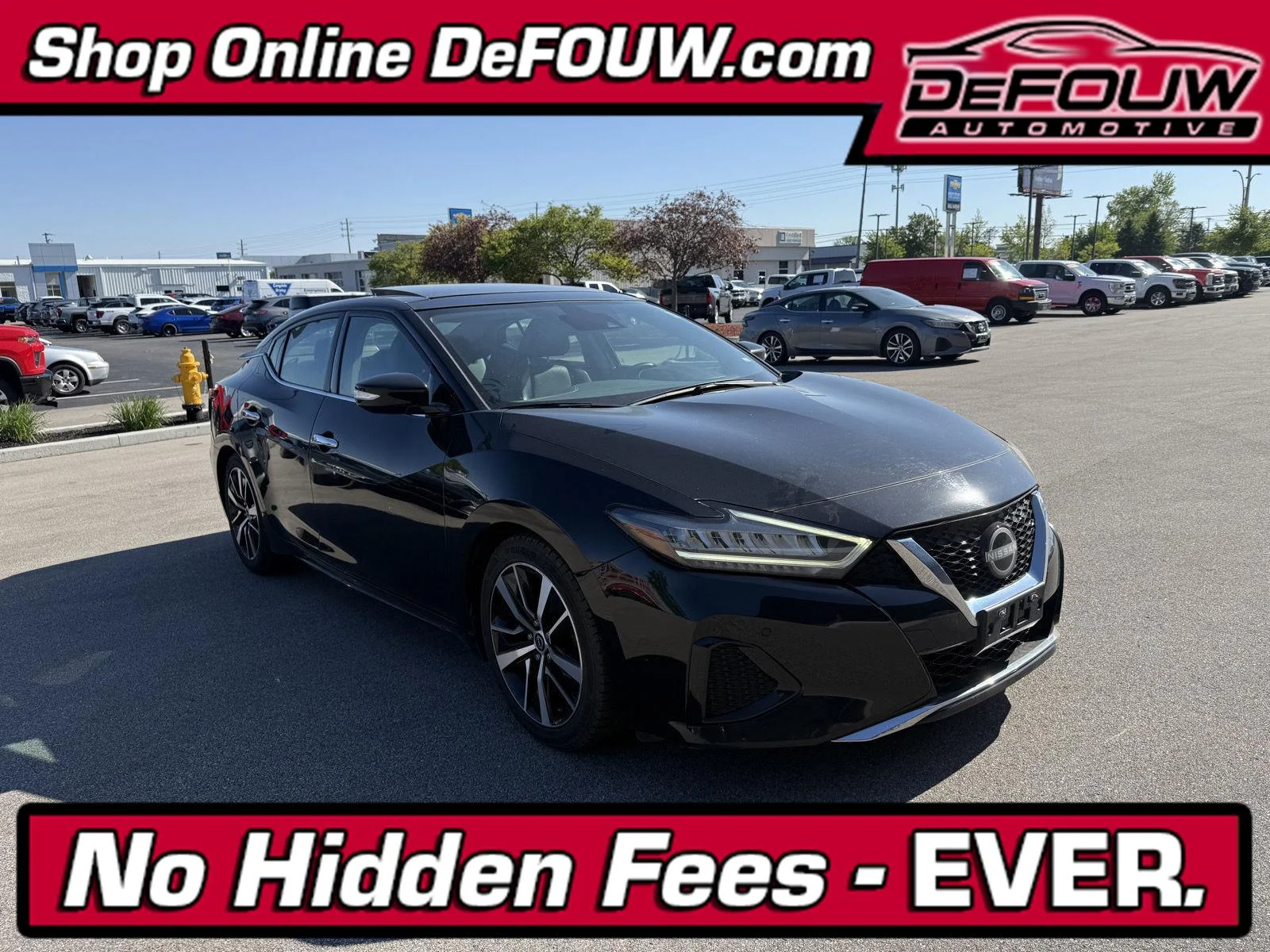 2023 Nissan Maxima SL's photo