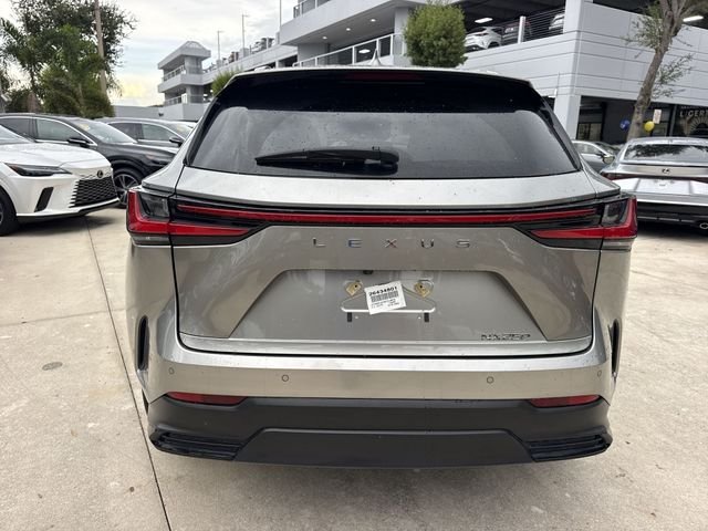 2025 Lexus NX 250 - Photo 24