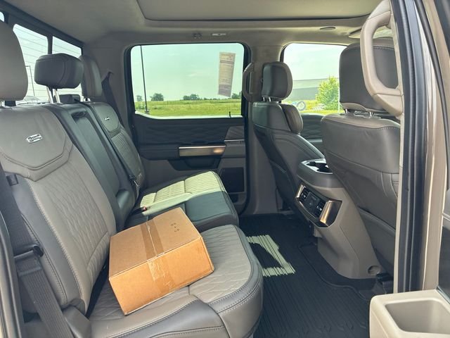 New 2026 Marsh Gray Ford F-250® Platinum® image 18