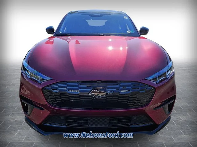 2025 Ford Mustang Mach-E GT - Photo 22