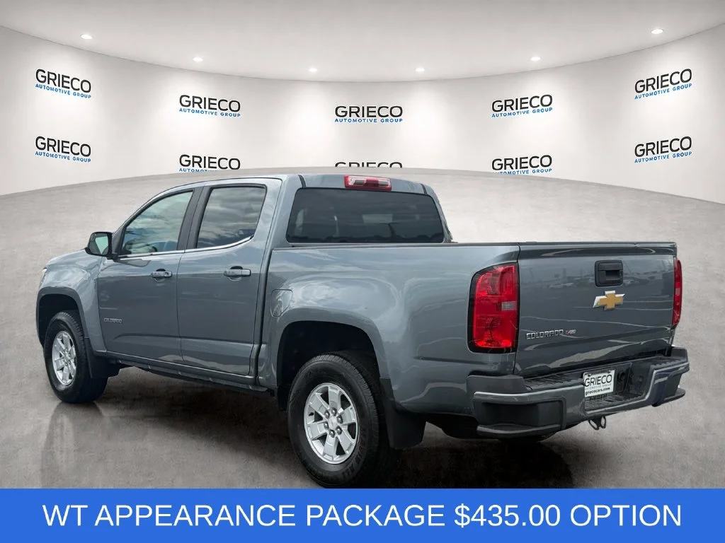 Used 2019 Gray Chevrolet Work Truck image 5
