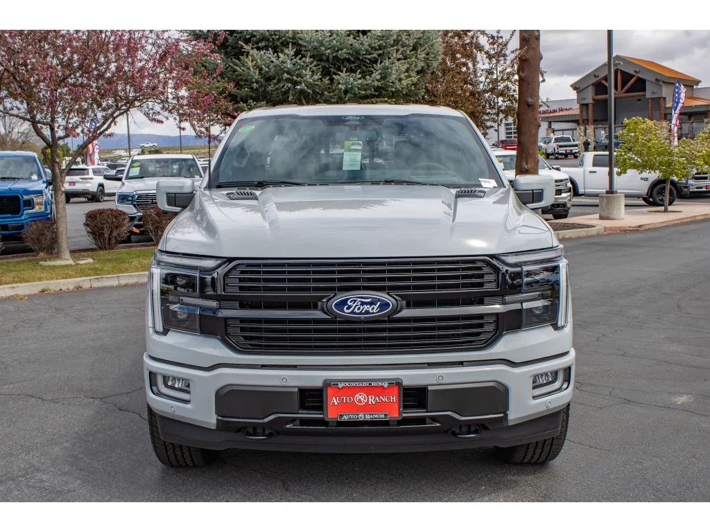 New 2026 Ford F-150 Platinum Crew Cab in Mountain Home #HF06121