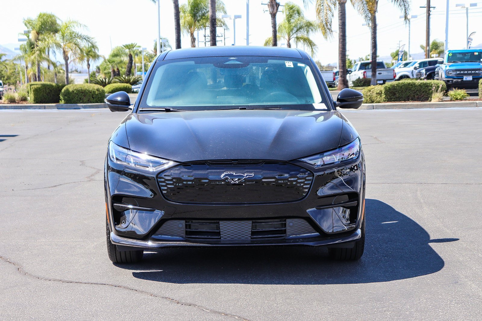 New 2026 Shadow Black Ford Premium image 2