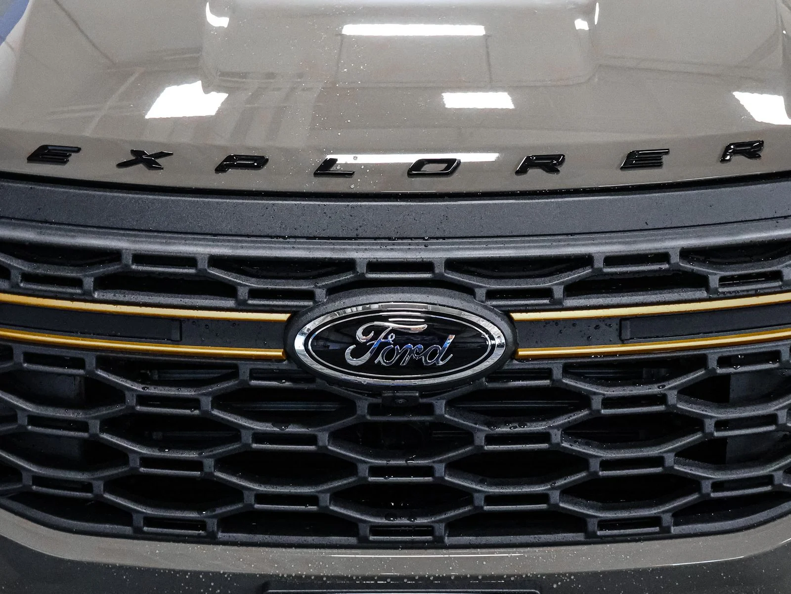 New 2026 Marsh Gray Ford Tremor® image 13