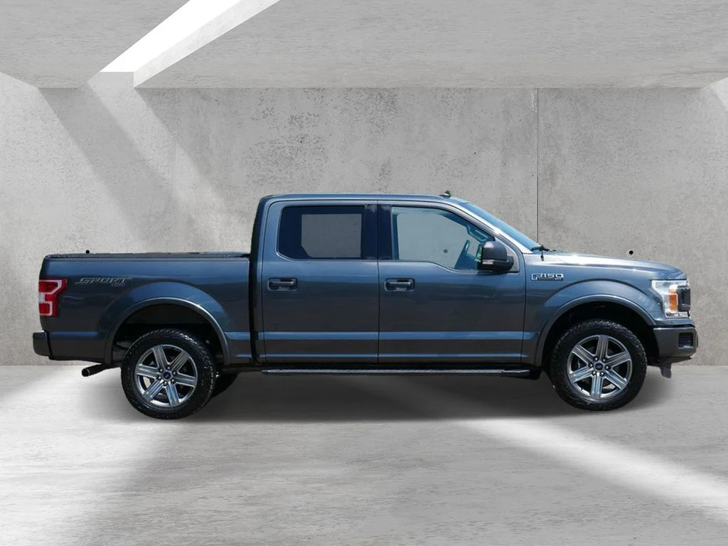 Certified 2019 Ford F-150 XLT with VIN 1FTEW1EP7KFC46186 for sale in White Bear Lake, Minnesota
