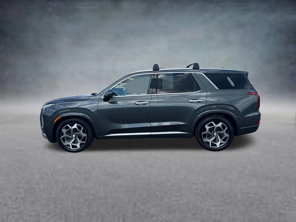 Used 2022 Rainforest Hyundai Calligraphy image 1