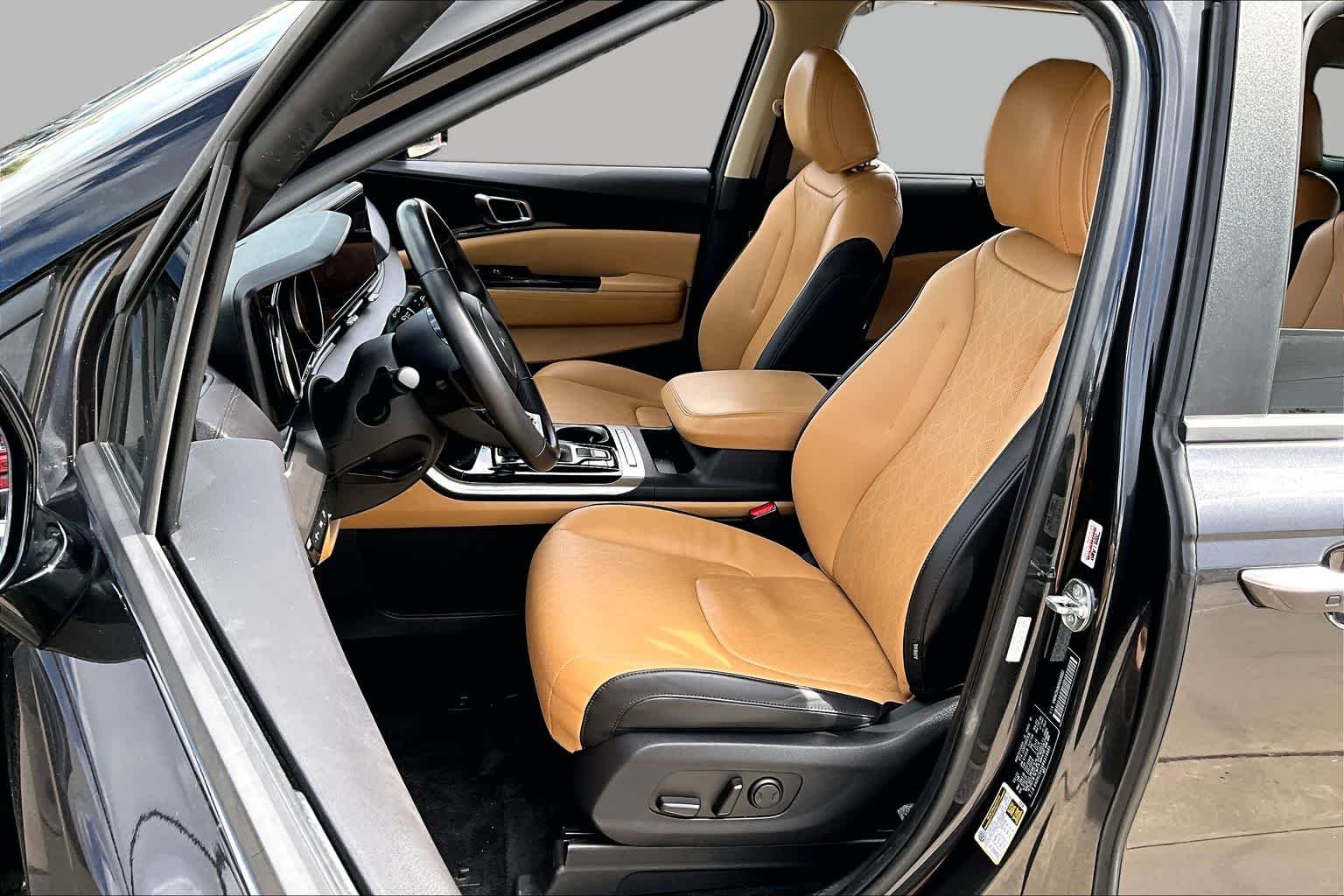 Used 2024 Panthera Metal Kia EX image 8