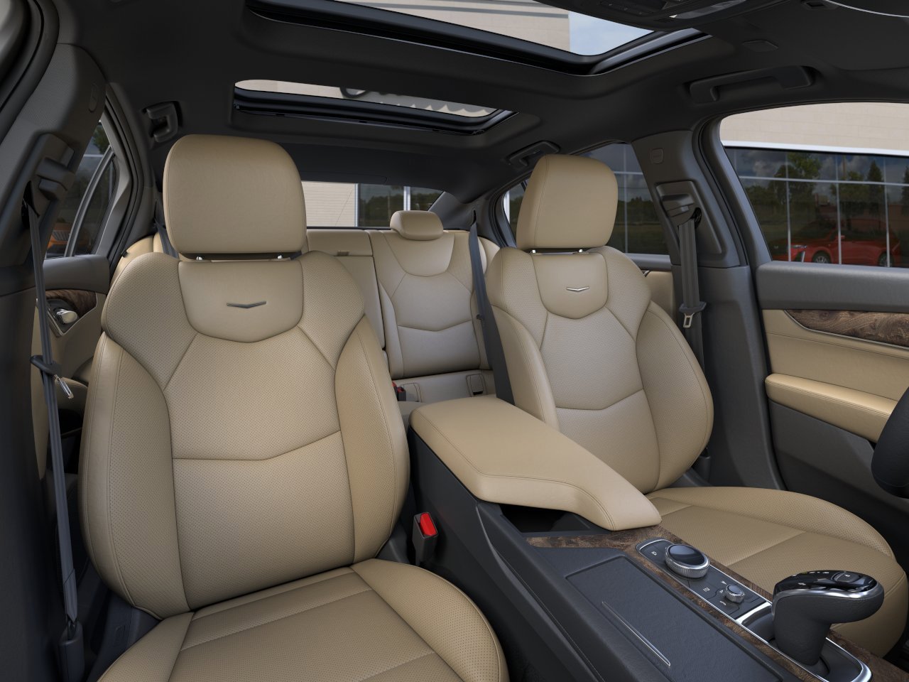 New 2026 Typhoon Metallic Cadillac Premium Luxury image 16