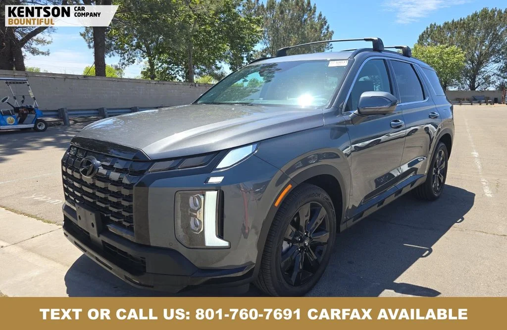 2025 Hyundai Palisade XRT AWD's photo