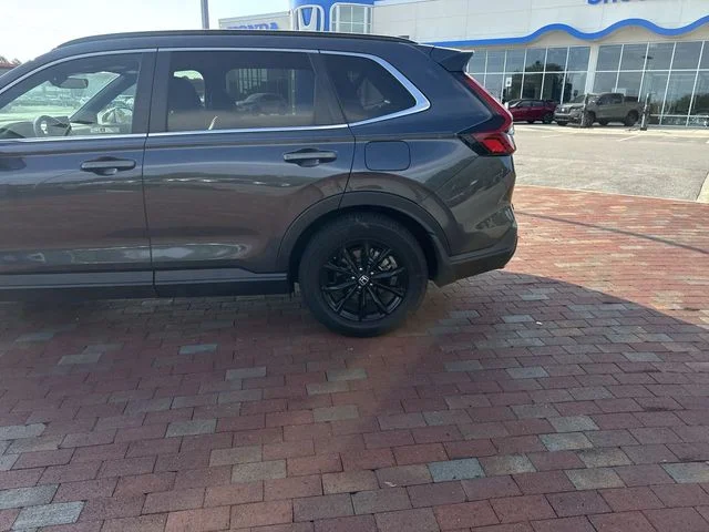Used 2024 Gray Honda Sport-L image 6