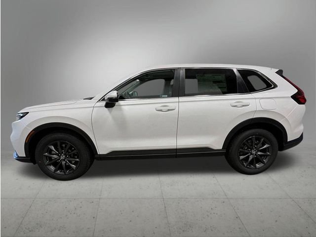New 2026 Platinum White Pearl Honda EX-L image 2