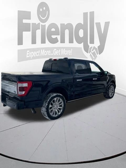 Used 2021 Blue Ford Limited image 8
