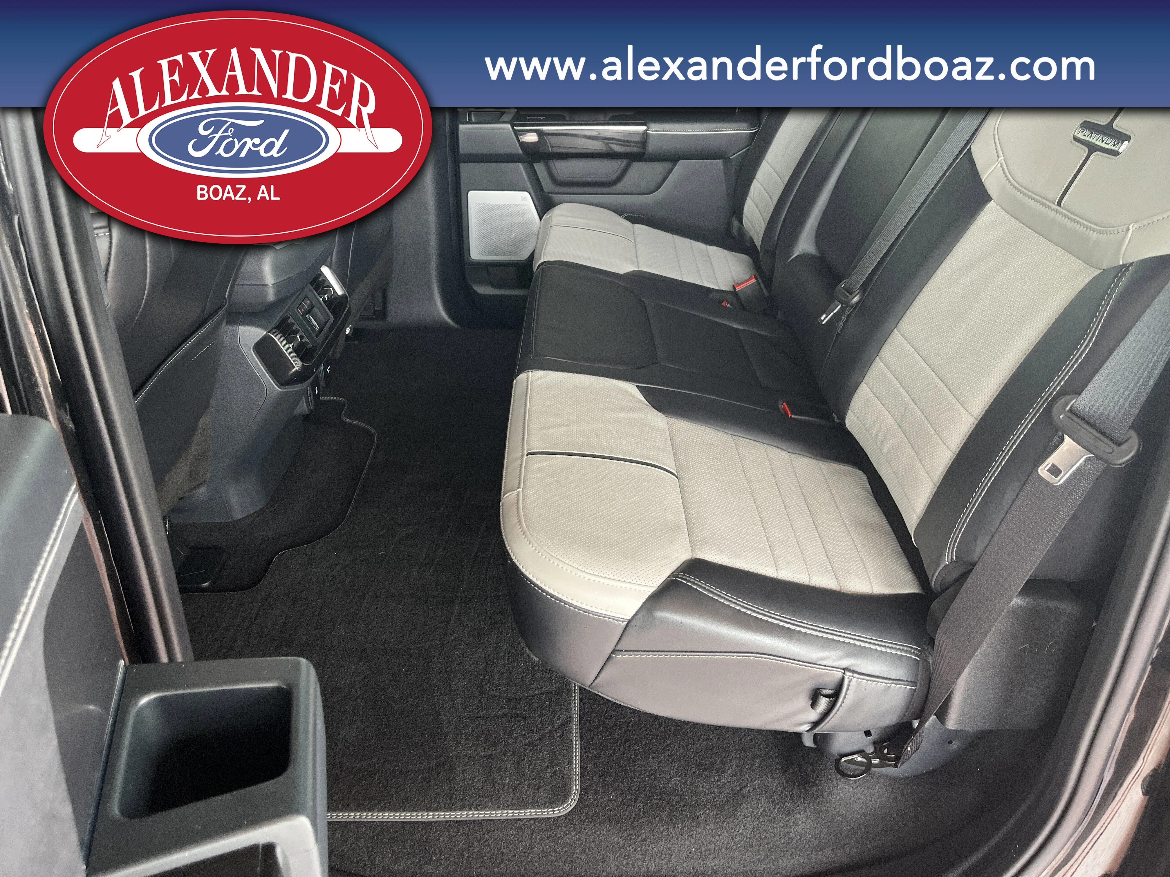 Used 2025 Black Ford Platinum image 14