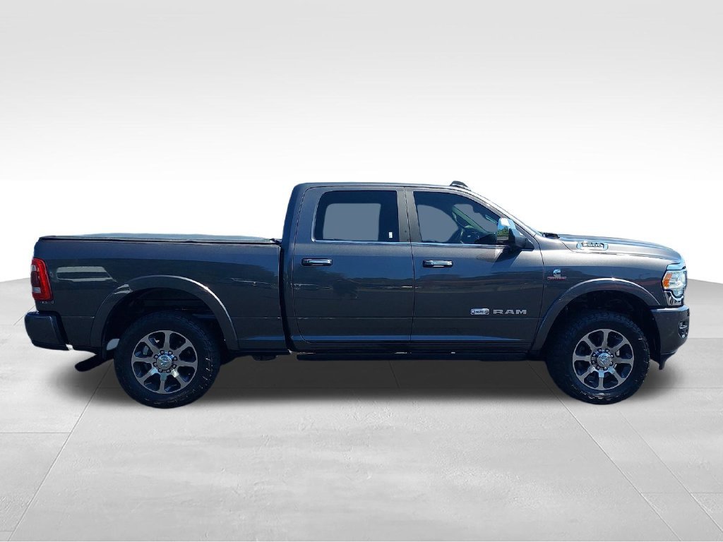 Used 2022 Gray Ram Longhorn image 6
