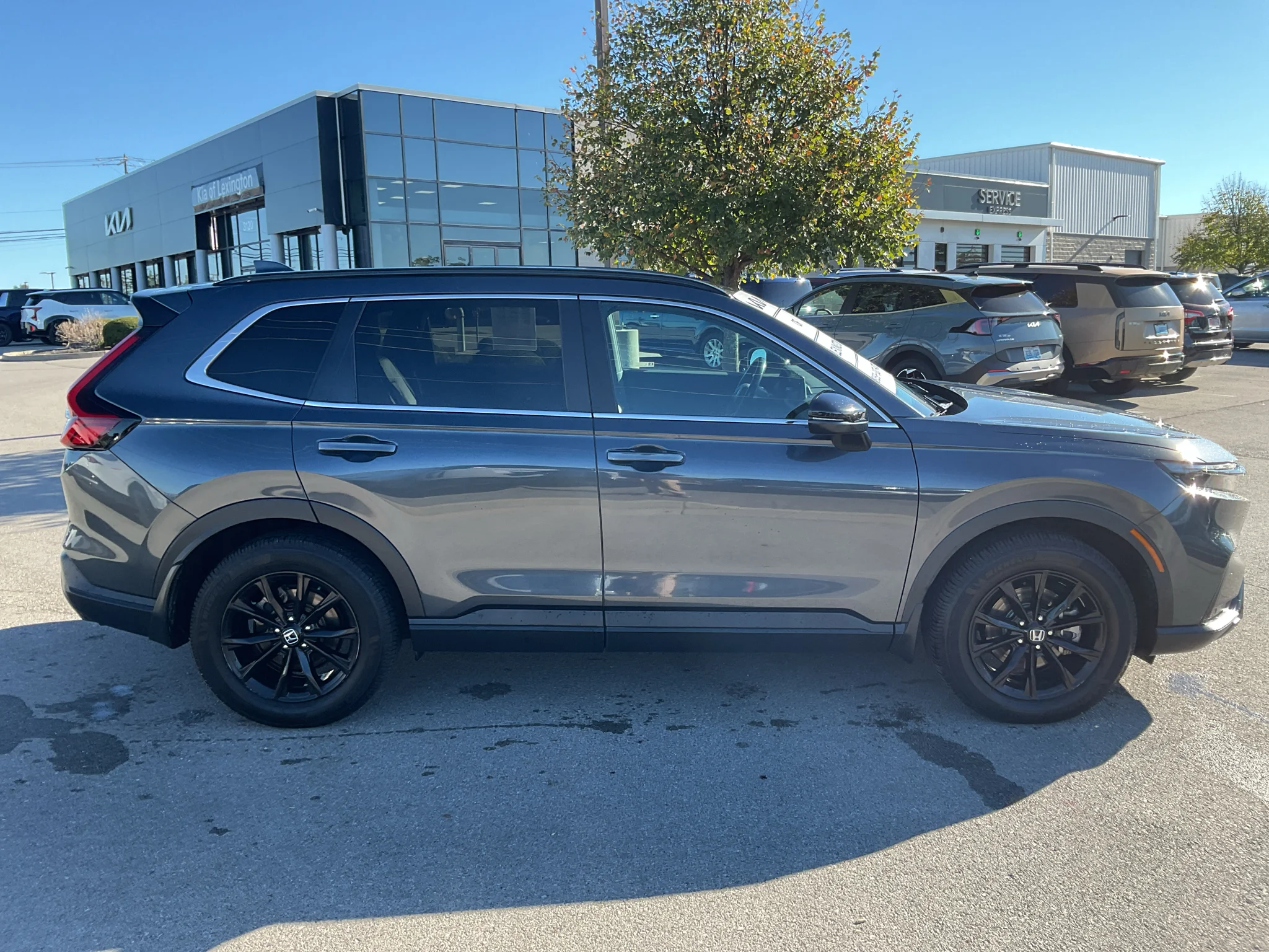 Used 2024 Blk Honda Sport-L image 11
