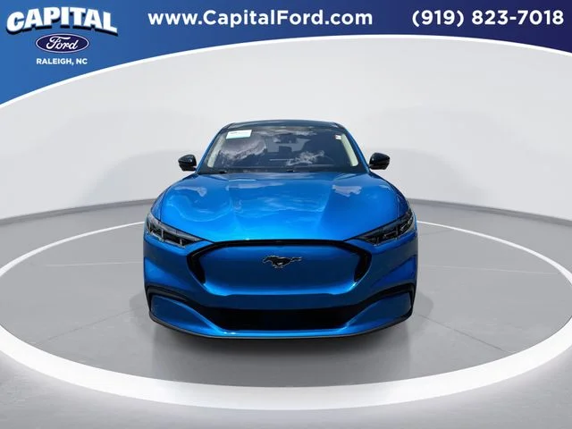 Used 2025 Blue Ford Premium image 3