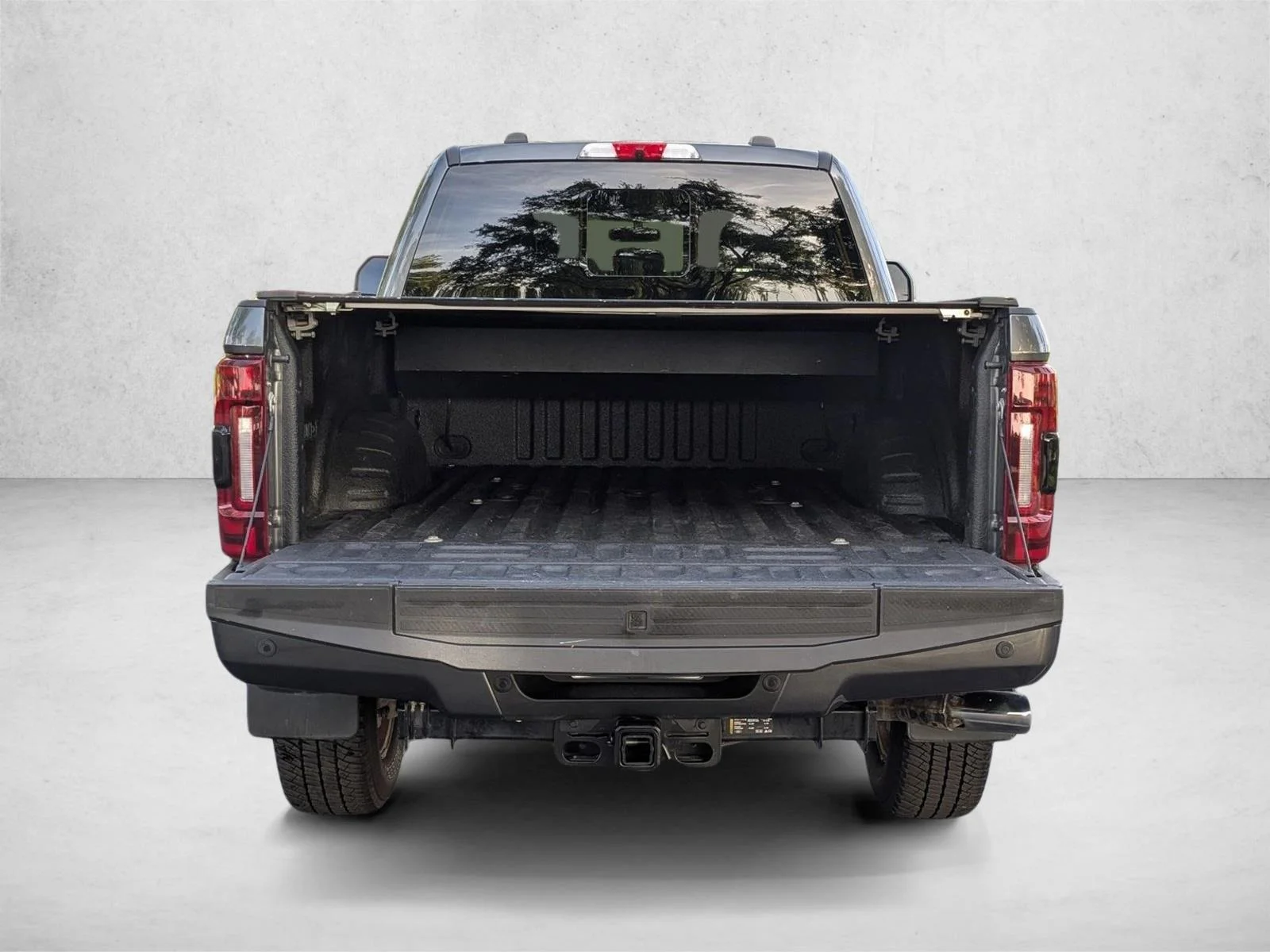 Used 2020 Magnetic Metallic Ford Platinum image 6
