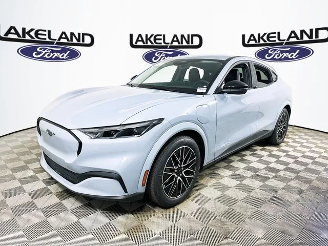 New 2026 Gray Ford Premium image 7