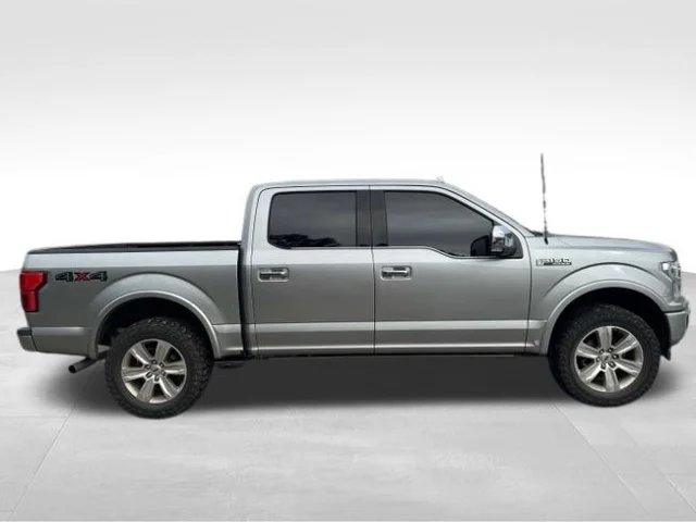 Used 2020 Silver Ford Platinum image 8