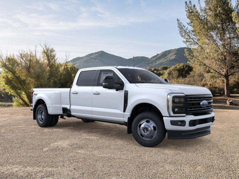 New 2026 White Ford Platinum image 7