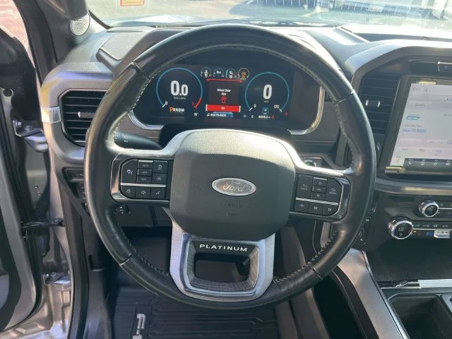 Used 2021 Silver Ford Platinum image 25