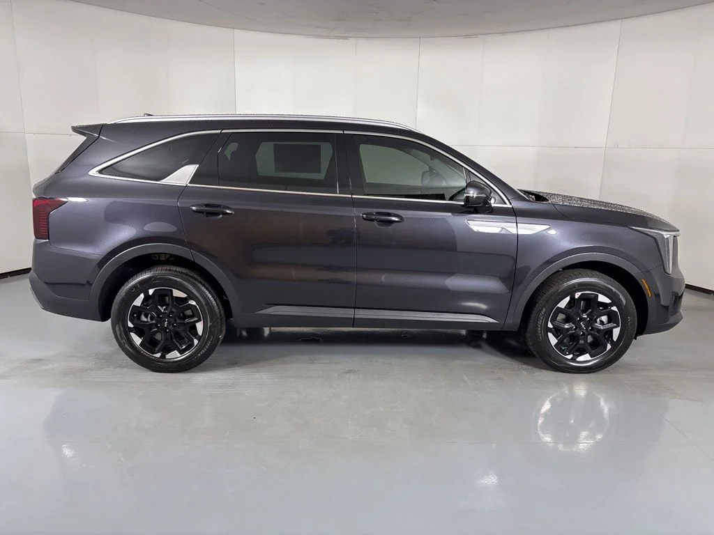 New 2026 Panthera Metal Kia S image 9