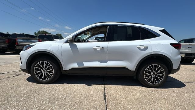 Used 2023 White Ford Base image 6