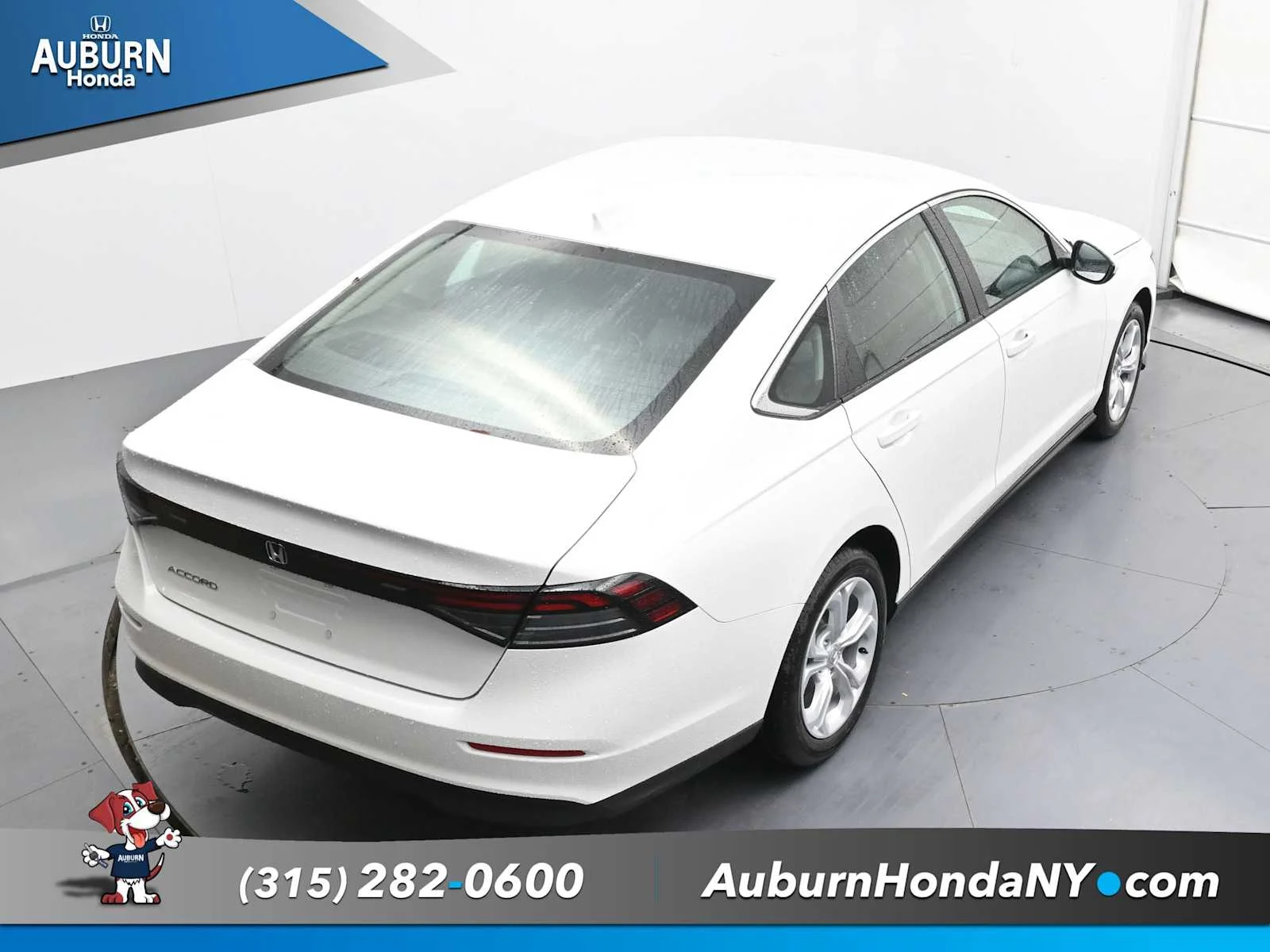 New 2025 Platinum White Pearl Honda LX image 29