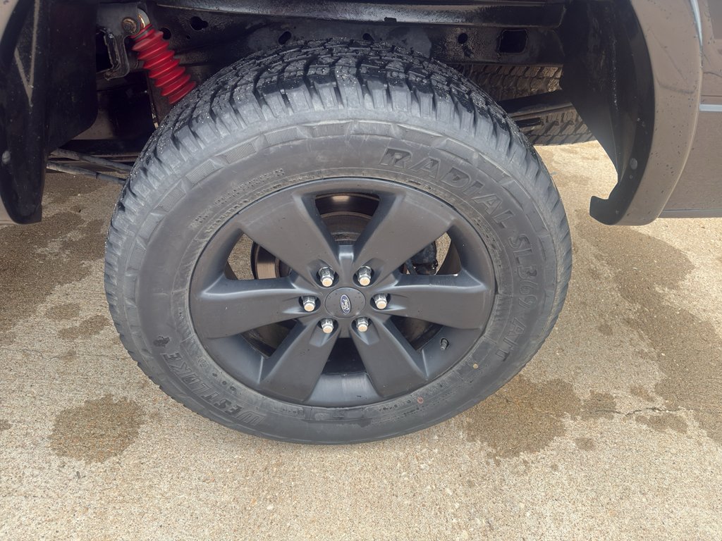 Used 2013 Tuxedo Black Metallic Ford FX4 image 15
