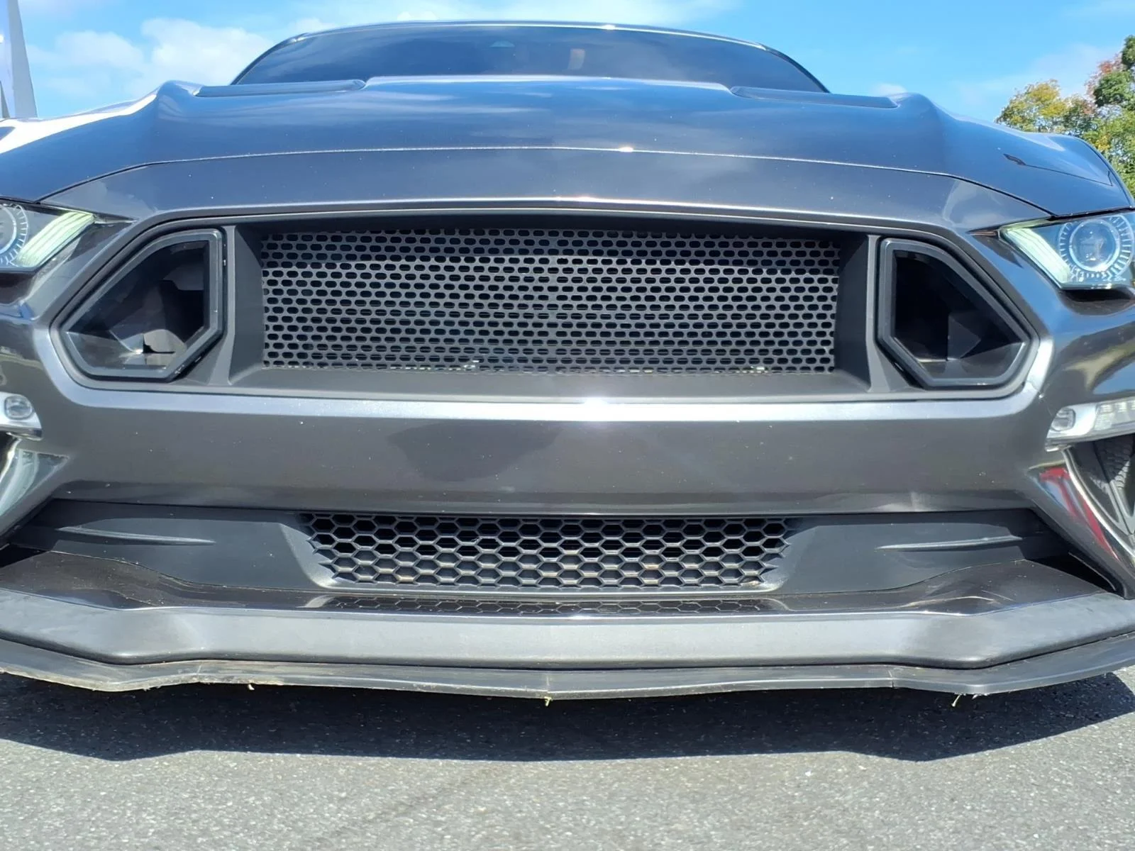 Used 2020 Magnetic Metallic Ford GT Premium image 15