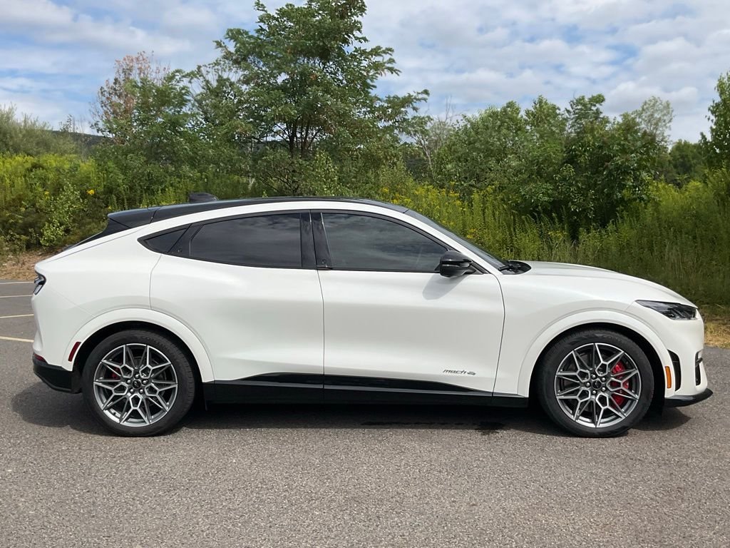 2025 Ford Mustang Mach-E GT - Photo 25