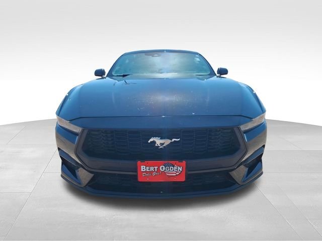 Used 2025 Black Ford EcoBoost image 2