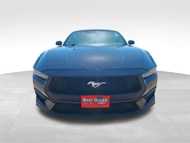Used 2025 Black Ford EcoBoost image 2